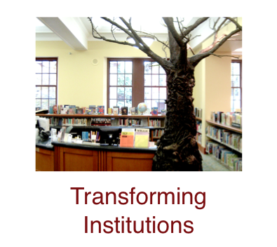 transforming-institutions