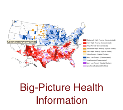 big-picture-health-information